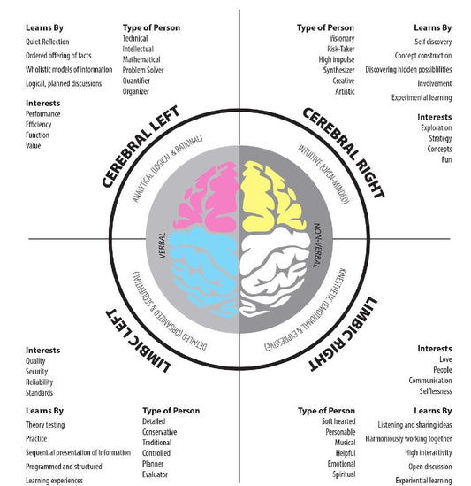 The Learning Styles Questionnaire