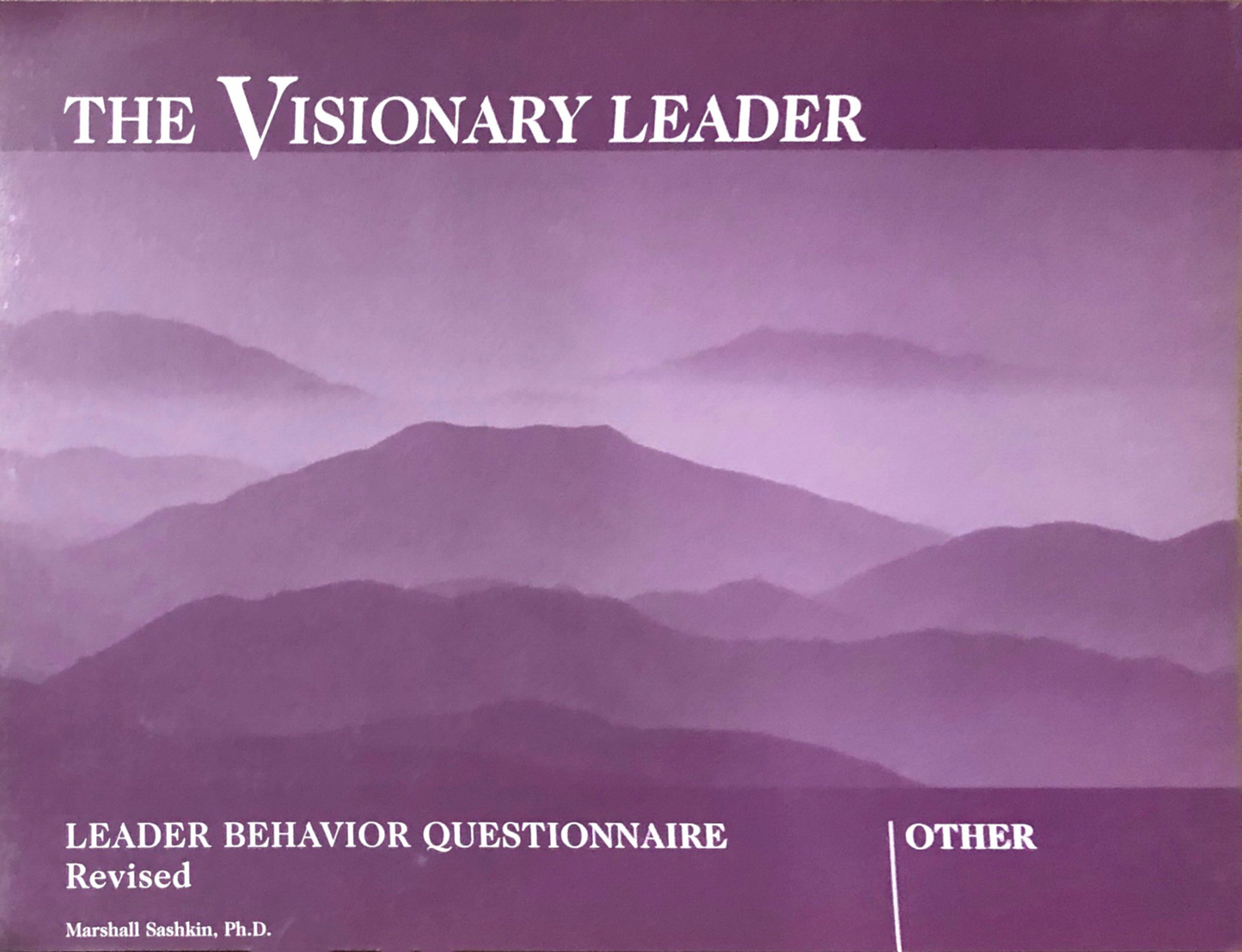 The Visionary Leader leader Guide